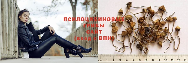 дживик Лагань