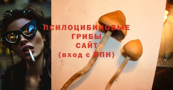дурь Ладушкин