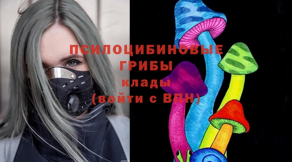 дурь Ладушкин