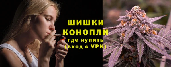 дурь Ладушкин